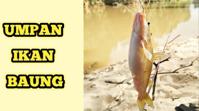 Umpan Ikan Baung Umpan Kucur Mancing Ikan Baung Umpan Baung Kucur Umpan Baung Umpan Kucur Baung Kucur Baung Umpan Ikan Baung Selain Kucur Umpan Baung Paling Jitu Umpan Kucur Ikan Baung Mancing Baung Umpan Ikan Baung Di Air Keruh Cara Membuat Umpan Kucur Umpan Ikan Baung Sungai Makanan Ikan Baung Umpan Mancing Ikan Baung Sungai Umpan Mancing Ikan Baung Cara Membuat Kucur Umpan Baung Umpan Jitu Ikan Baung Mancing Baung Babon Cara Membuat Umpan Ikan Baung Paling Jitu Umpan Yang Bagus Untuk Mancing Ikan Baung Umpan Ikan Baung Sungai Paling Ampuh Umpan Ikan Baung Air Jernih Cara Membuat Umpan Kucur Paling Jitu Umpan Ikan Baung Paling Jitu Mancing Baung Di Sungai Cara Membuat Umpan Ikan Baung Umpan Baung Alami Cara Mancing Ikan Baung Umpan Mancing Baung Umpan Baung Selain Kucur Cara Membuat Kucur Yang Bagus Kucur Umpan Pancing Mancing Ikan Baung Di Sungai Umpan Baung Sungai Kucur Umpan Mancing Cara Membuat Kucur Baung Cara Mancing Baung Siang Hari Umpan Ikan Baung Di Sungai Mancing Baung Sungai Pakan Ikan Baung Umpan Kucur Super Kucur Umpan Ikan Mancing Baung Umpan Kucur Kucur Umpan Ikan Baung Umpan Ikan Baung Alami Mancing Ikan Baung Umpan Kucur Membuat Umpan Kucur Umpan Ikan Tagih Cara Membuat Umpan Baung Cara Membuat Umpan Kucur Baung Mancing Ikan Baung Monster Cara Membuat Kucur Umpan Ikan Baung Cara Membuat Umpan Kucur Ikan Lele Umpan Kucur Adalah Cara Mancing Baung Umpan Tajur Ikan Baung Cara Mancing Ikan Baung Malam Hari Umpan Baung Jitu Mancing Baung Malam Hari Umpan Alami Mancing Ikan Baung Sungai Cara Membuat Kucur Umpan Mancing Ikan Baung Umpan Ikan Rengkik Makanan Ikan Baung Sungai Umpan Untuk Ikan Baung Umpan Ikan Senggal Cara Membuat Umpan Kucur Ikan Baung Umpan Ikan Sogo Umpan Kucur Untuk Lele Umpan Baung Kucur Umpan Jitu Baung Umpan Ikan Beong Mancing Ikan Baung Sungai Umpan Ikan Baung Paling Ampuh Pancing Ikan Baung Umpan Ikan Kucur Umpan Alami Ikan Baung Umpan Busuk Ikan Baung Cara Membuat Kucur Ikan Baung Cara Membuat Umpan Ikan Baung Sungai Umpan Jitu Ikan Baung Sungai Umpan Ikan Baung Terbaik Umpan Mancing Kucur Kucur Pakan Ikan Mancing Ikan Baung Malam Hari Umpan Pancing Kucur Umpan Bubu Ikan Baung Umpan Jitu Mancing Ikan Baung Umpan Ikan Baung Yang Ampuh Umpan Kucur Mancing Baung Umpan Mancing Ikan Baung Di Sungai Umpan Ikan Baung Air Keruh Umpan Ikan Baung Kolam Umpan Pancing Baung Umpan Ikan Baung Babon Umpan Kucur Dari Sawit Umpan Baung Paling Ampuh Umpan Jitu Mancing Baung Umpan Jitu Baung Sungai Umpan Jitu Ikan Baung Selain Kucur Kucur Umpan